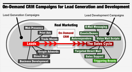 Salesforce campaign lead generation and lead development